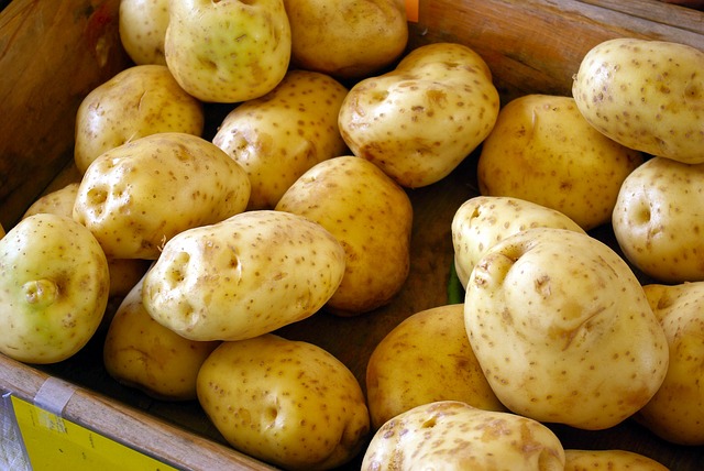 How Many Potatoes Grow from One Seed Potato?