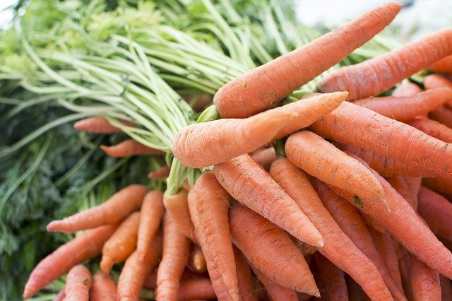 Carrot Farming – A Complete Guide