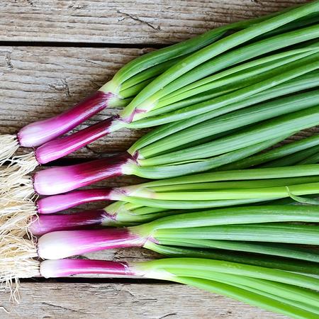 Spring onion apache