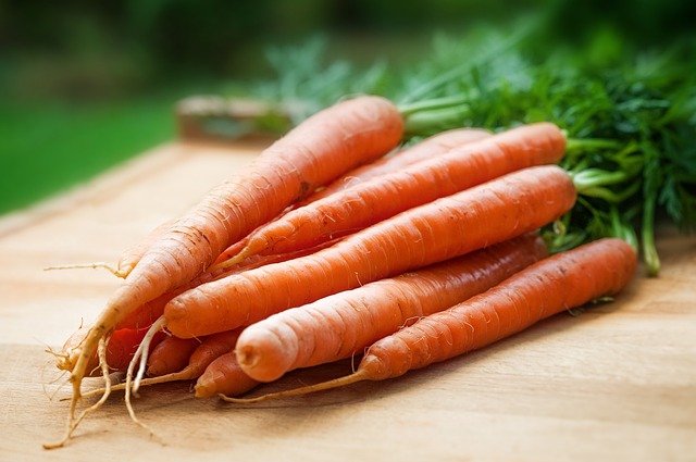 Carrot Farming: Planting, Growing, and Harvesting