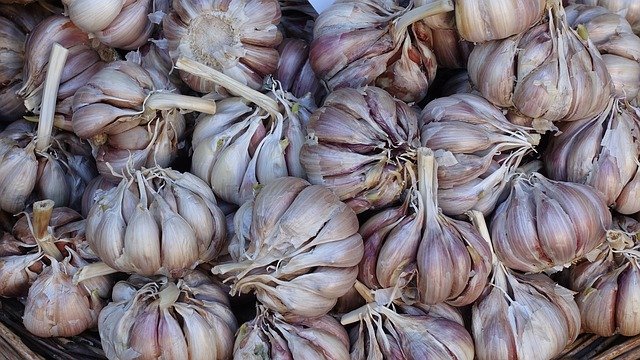 Garlic Farming – Planting, Care, Harvesting-A Complete Guide