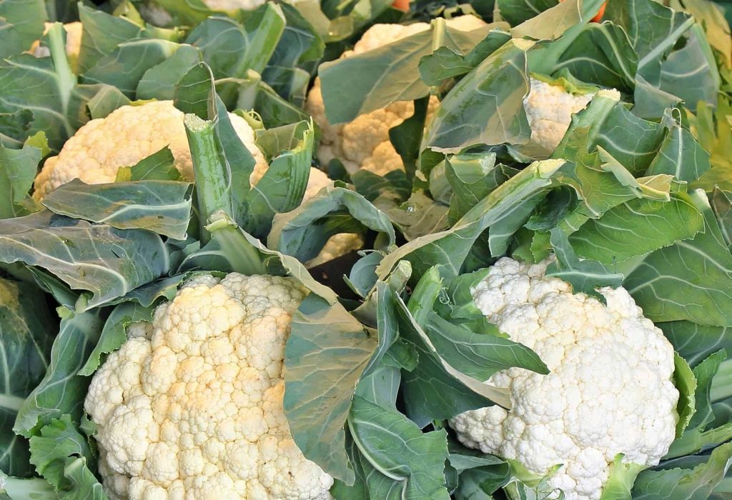 How to grow cauliflower: All The Information Regarding It