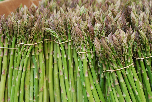 Grow Asparagus Easily: Plant It Once and Harvest for 30 Years
