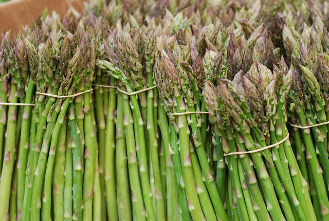 Do Asparagus Need Full Sun to Grow?