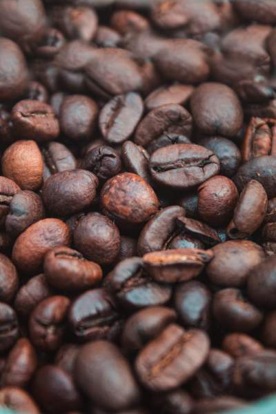 9 Inventive Ways to Use Coffee Grounds in Your Garden