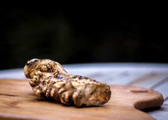 How Long Does Horseradish Take to Grow?