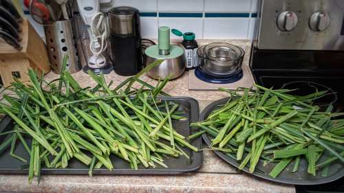 How Often to Water Lemongrass: Watering Requirements