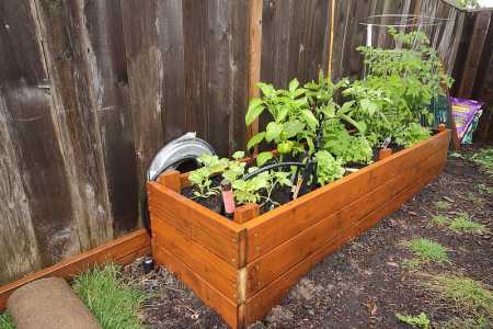 how deep should a box garden be