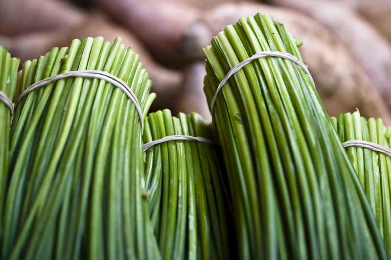 How Much Sunlight Do Chives Need?