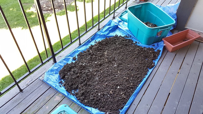 worm castings for tomato plants