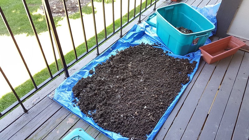 How to Use Worm Castings in Vegetable Garden?