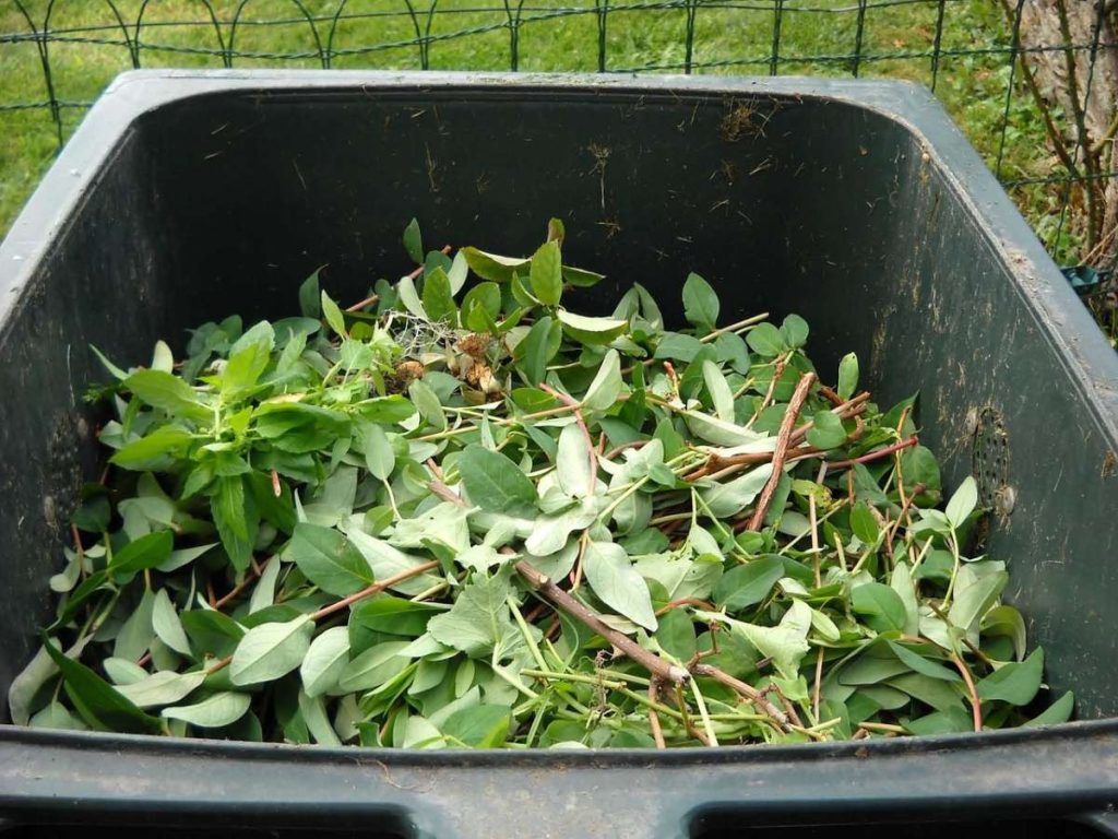6 Amazing Composting Ways Everyone Should Try, No Matter Where You Live