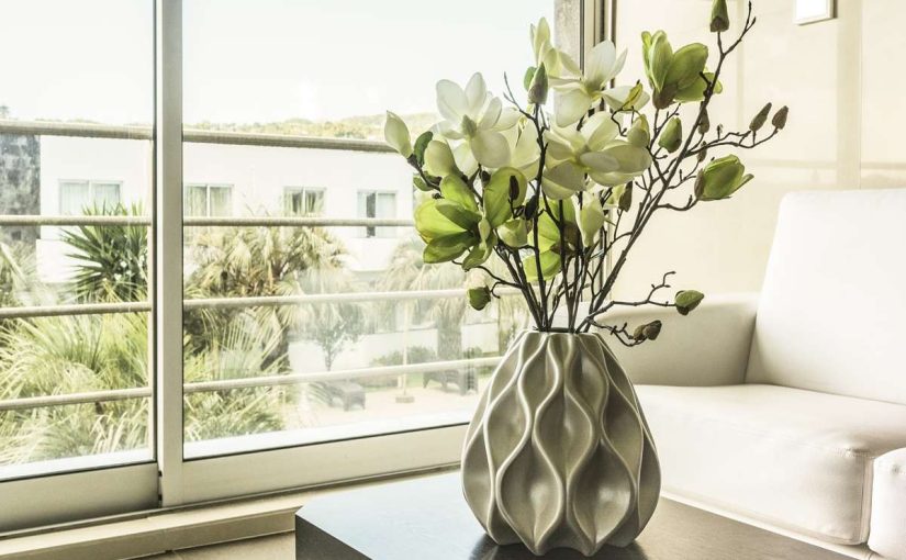 10 Best Air-Purifying Plants For Better Sleep