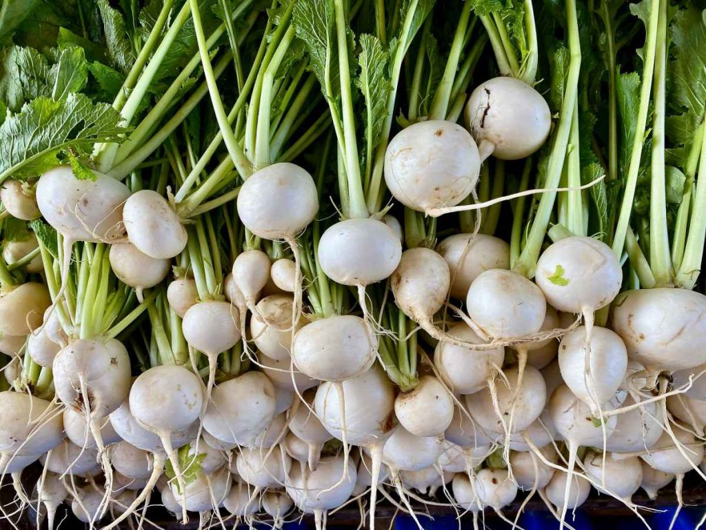 How to: Growing Turnips in Containers?