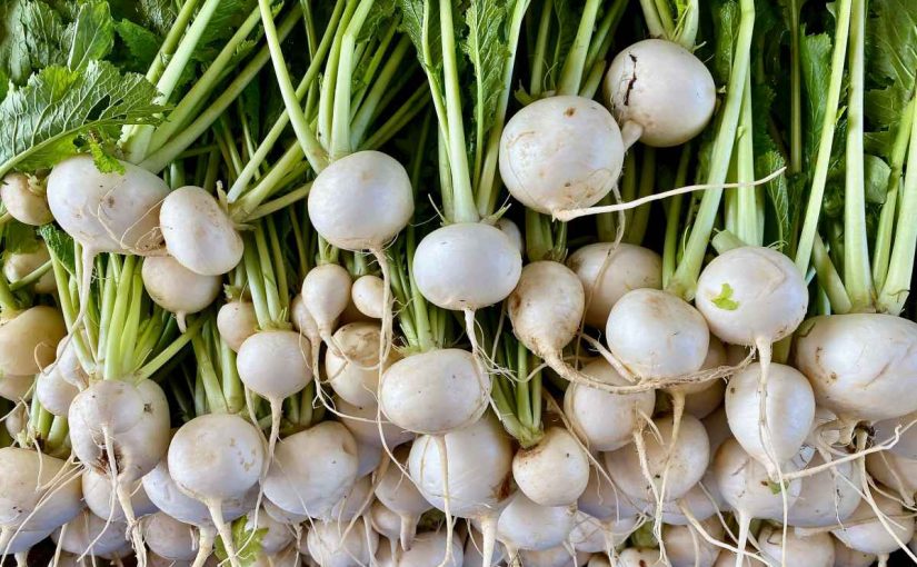 How to: Growing Turnips in Containers?