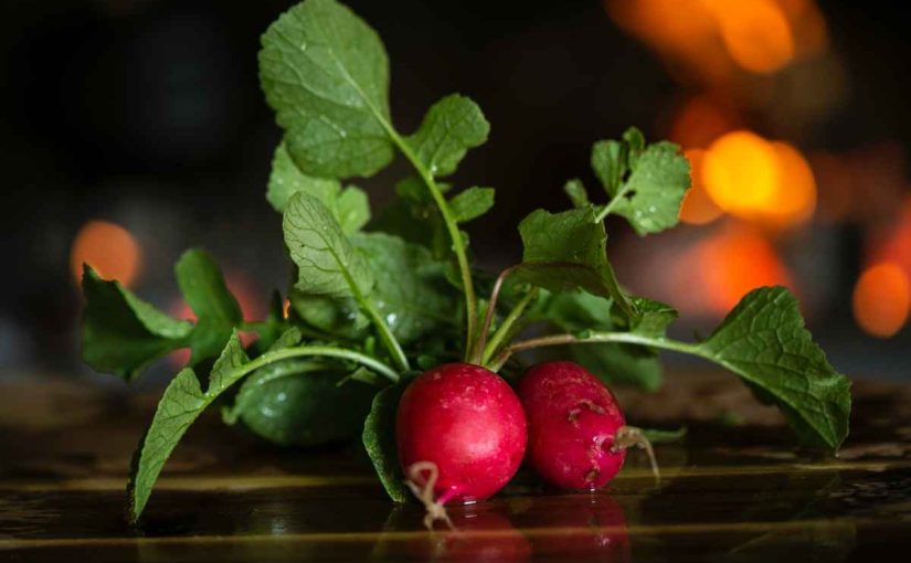 How to Grow Radish from Scraps?