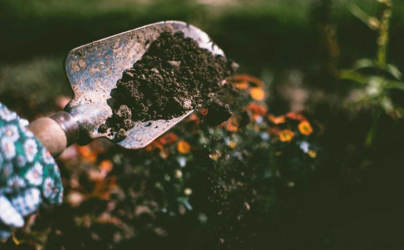 How to Maintain the Right Moisture Level in Your Compost