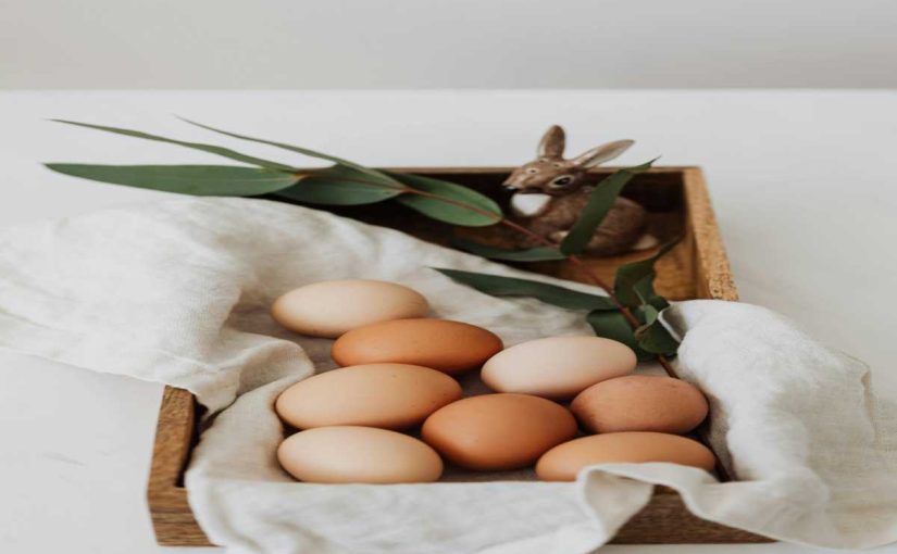 Top 5 Mistakes to Avoid When Handling Chicken Eggs