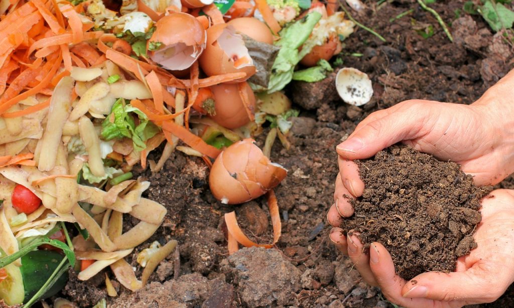 8 Creative Ways to Compost in Your Tiny City Apartment