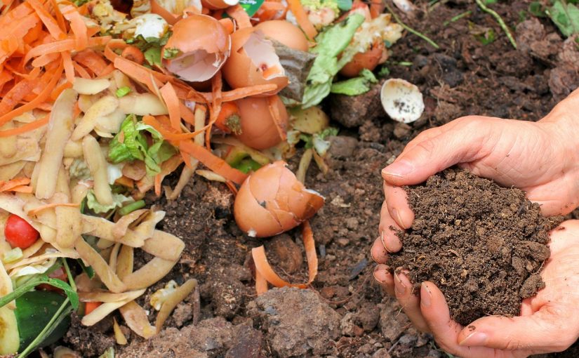 6 Natural Additives to Supercharge Your Compost