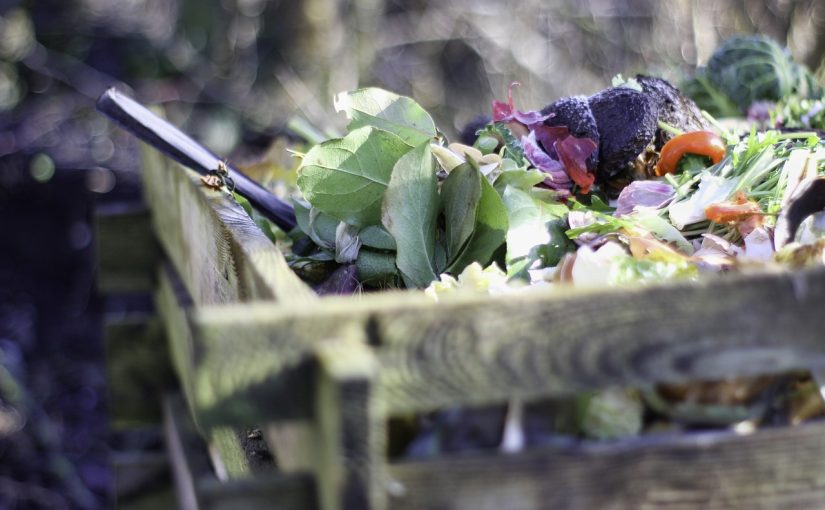 9 Tips for Speeding Up the Composting Process