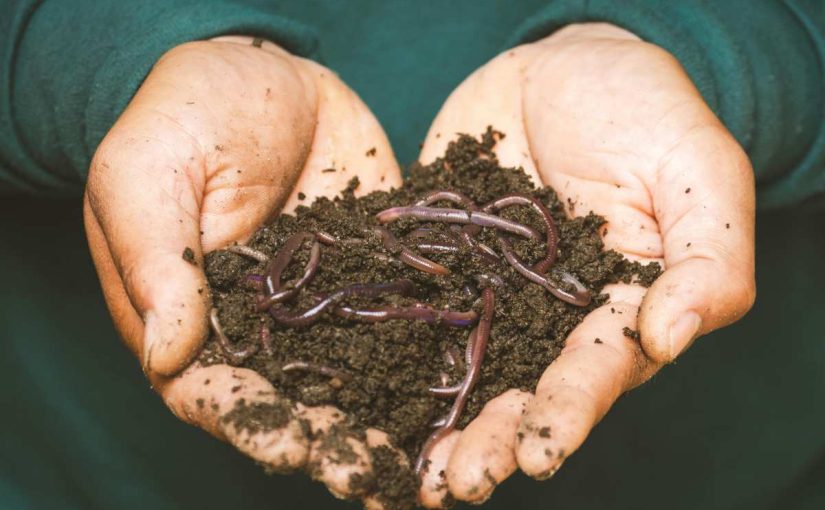 6 Natural Additives to Supercharge Your Compost